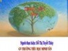 Tuần 11. Chuyện một khu vườn nhỏ